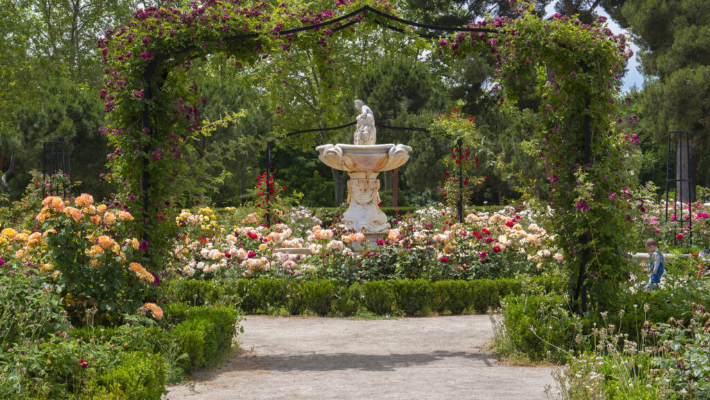 "El retiro" park, the section called "la rosaleda" or "roses garden"