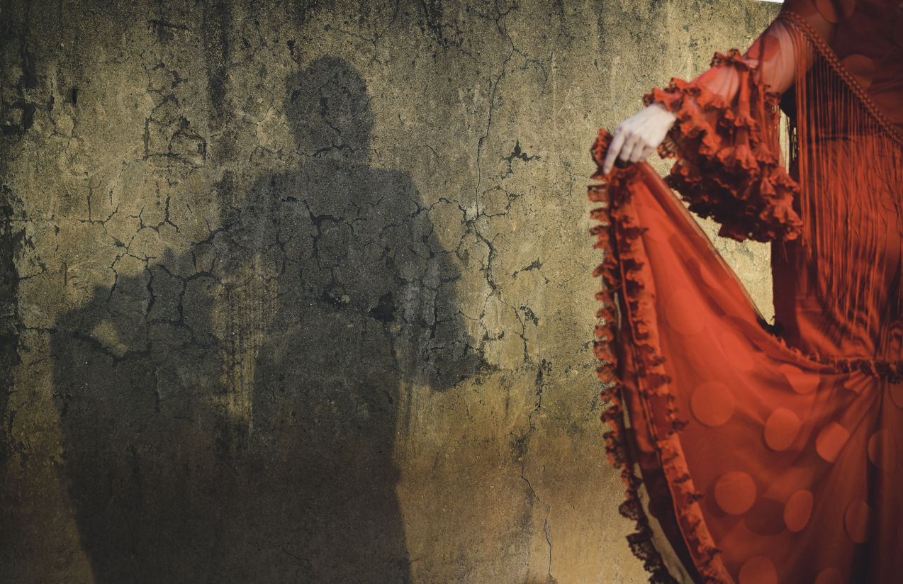 Shadow of woman dressed in flamenco dress on cracked wall. What's the best flamenco in Spain?