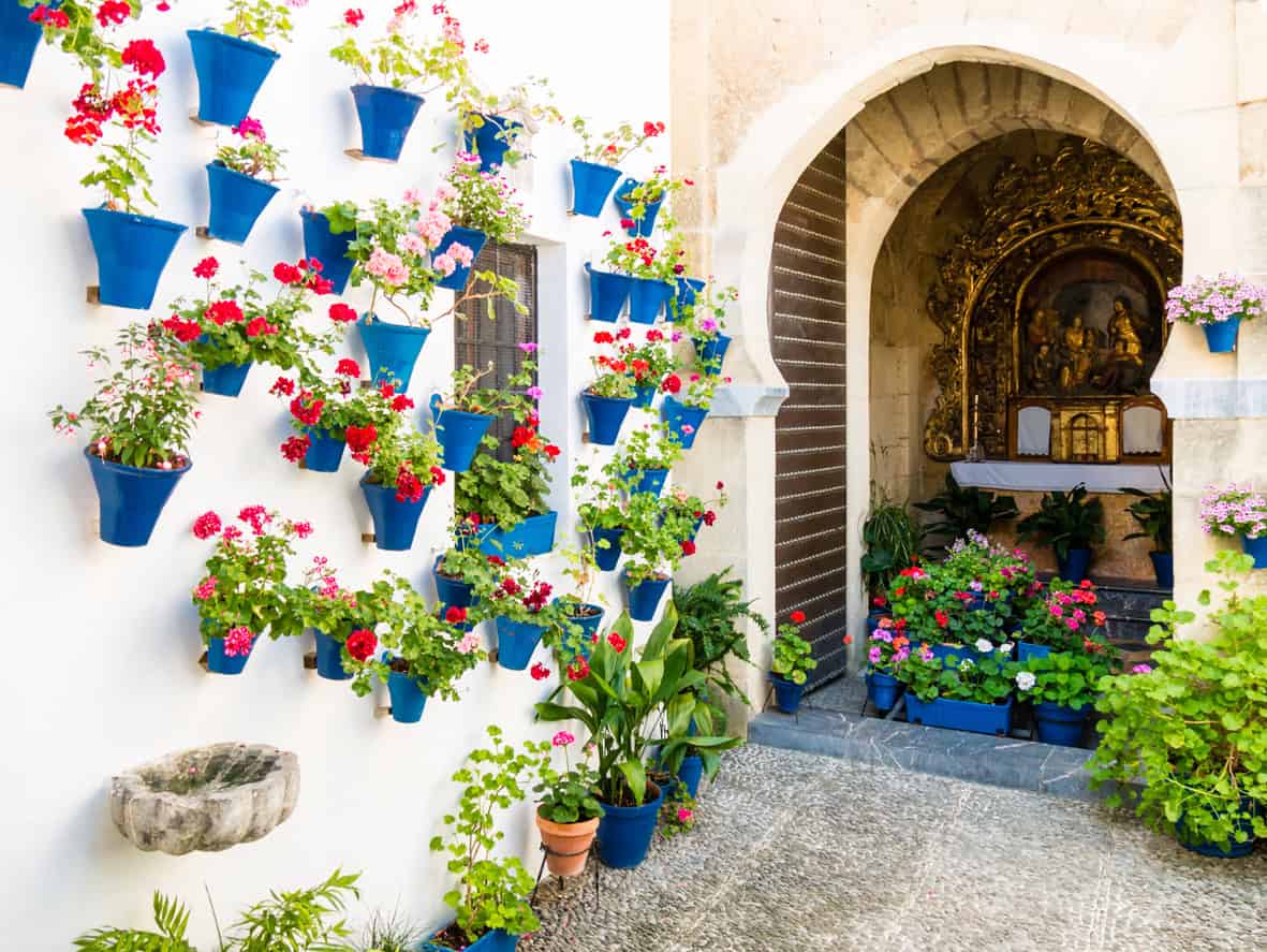 The flowers in flowerpots on the walls on streets of Cordoba, Spain - A stunning Cordoba flower patio in full bloom. Plan your Cordoba Patio Festival 2025 intinerary.