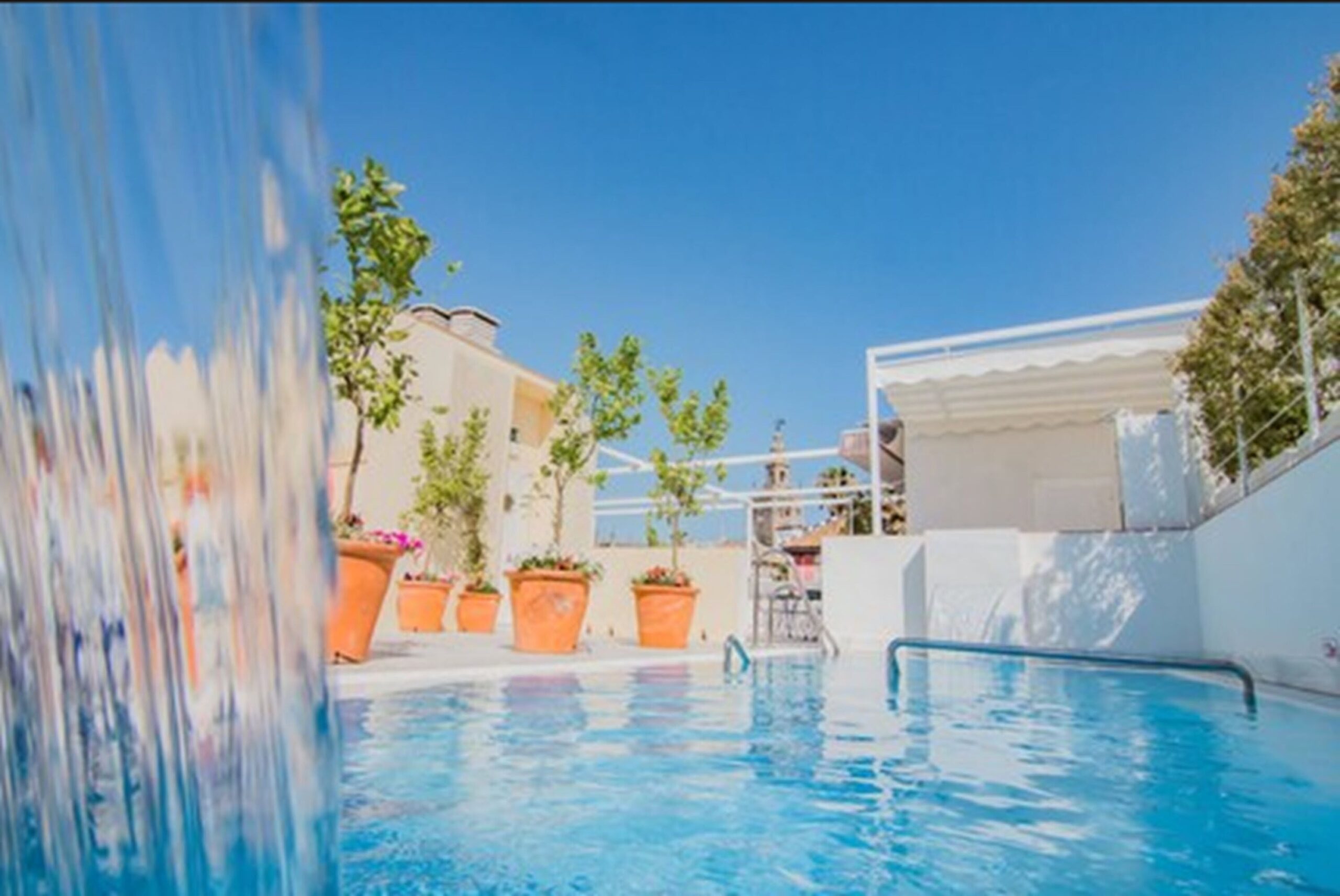 Tranquil pool of a boutique hotel in Seville with potted orange trees - Halo Boutique Hotel Boutique Hotels in Sevilla