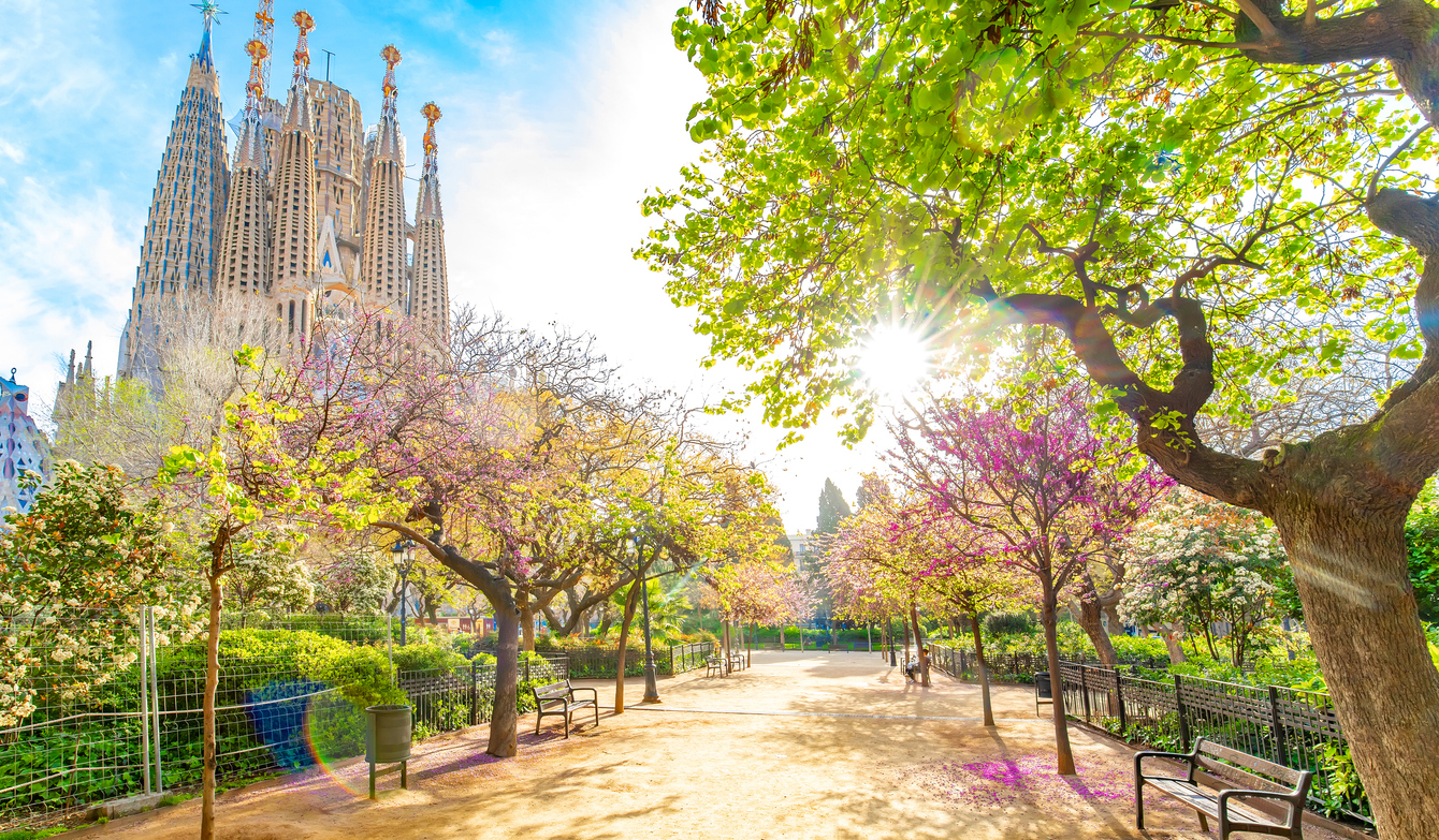 Blooming spring park in Barcelona city centre, Spain - Three day barcelona itinerary including sights, tapas, and local vibes
